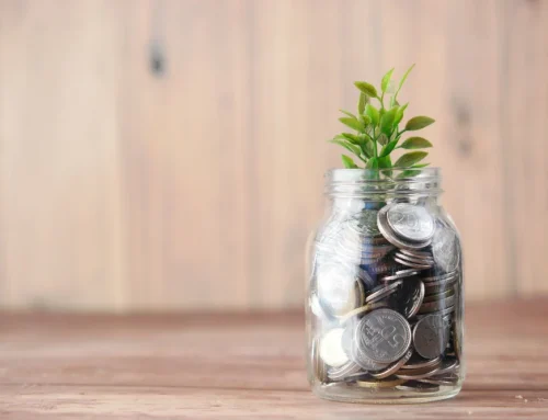 Standard VSME: la guida strategica alla sostenibilità per le PMI nel 2026